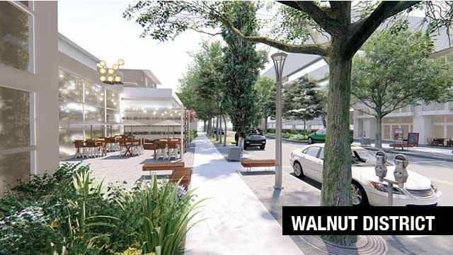 walnut-dist-pic